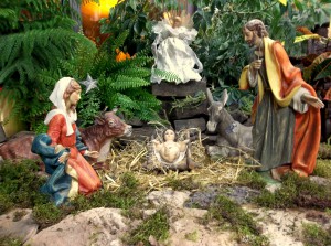 Nativity2015 006